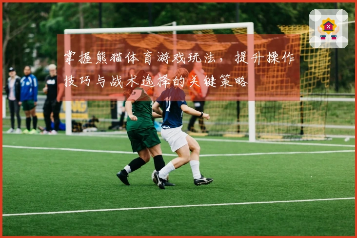 掌握熊猫体育游戏玩法，提升操作技巧与战术选择的关键策略