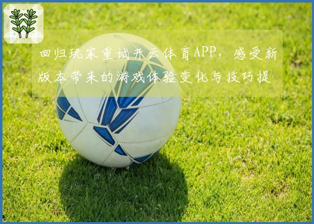 回归玩家重试开云体育APP，感受新版本带来的游戏体验变化与技巧提升