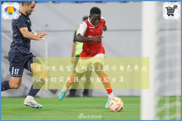在im电竞官方网站上提升角色养成效率的实用技巧与经验分享